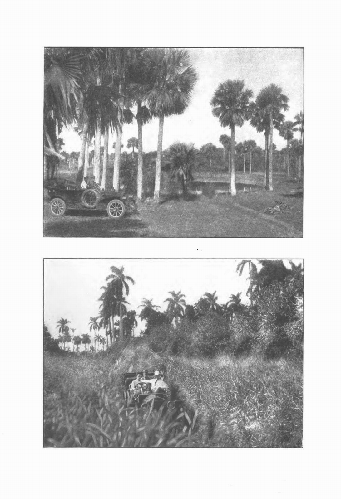 n_1909 Packard - El Toro-061.jpg